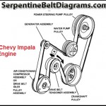 2006 Chevy Impala Serpentine Belt Diagram-3.4L Engine
